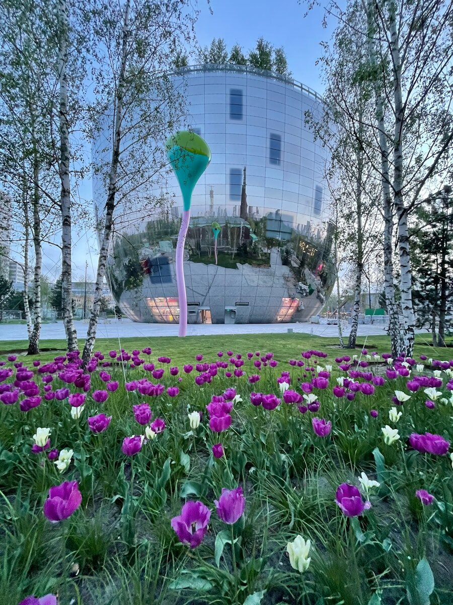 a field of purple flowers in front of a building