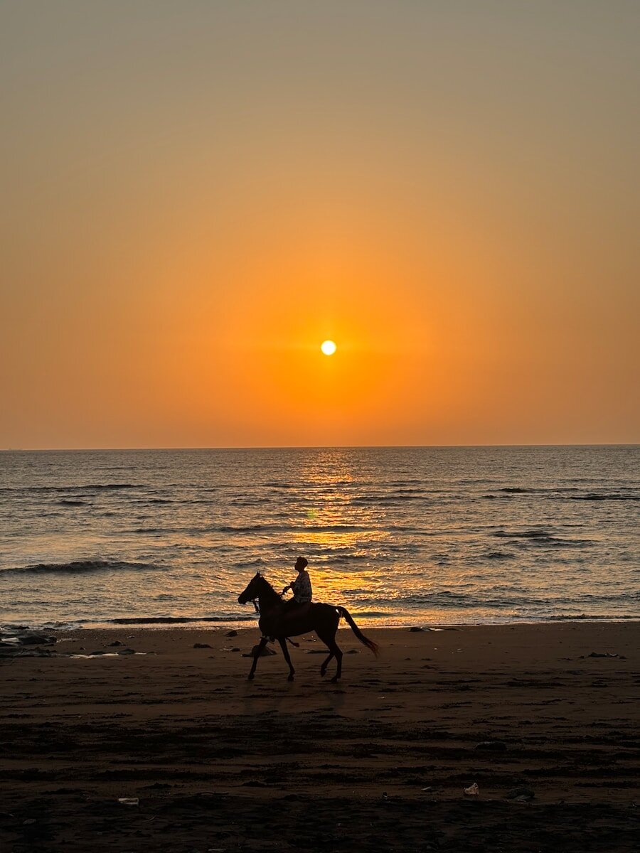 a person riding a horse on a beach at sunset